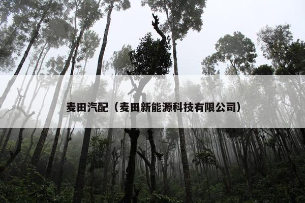 麦田汽配（麦田新能源科技有限公司）