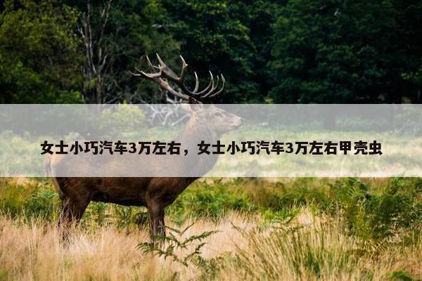 女士小巧汽车3万左右，女士小巧汽车3万左右甲壳虫