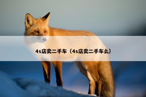 4s店卖二手车（4s店卖二手车么）