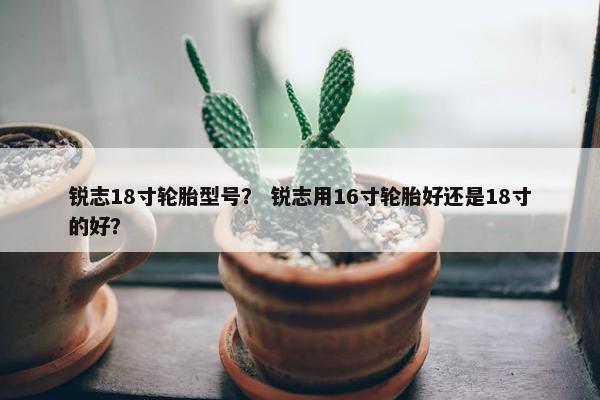 锐志18寸轮胎型号？ 锐志用16寸轮胎好还是18寸的好？