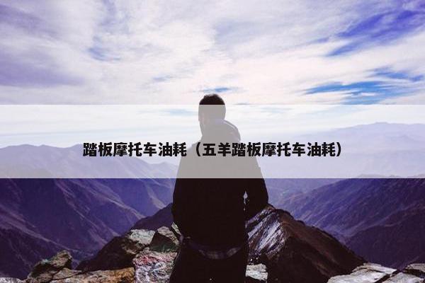 踏板摩托车油耗（五羊踏板摩托车油耗）