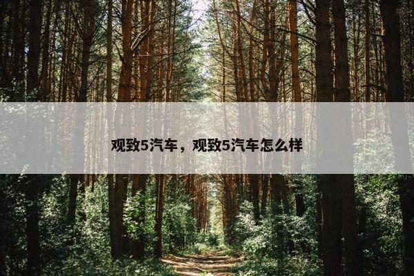 观致5汽车，观致5汽车怎么样