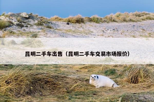 昆明二手车出售（昆明二手车交易市场报价）