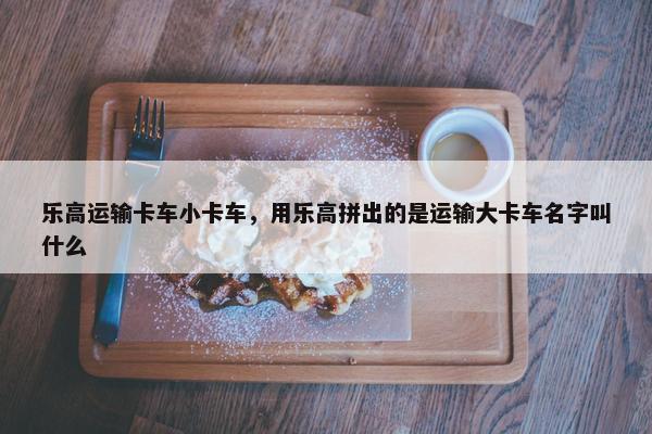 乐高运输卡车小卡车，用乐高拼出的是运输大卡车名字叫什么