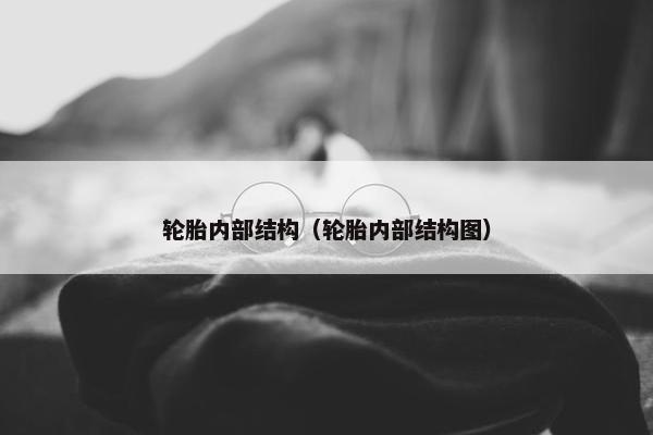 轮胎内部结构（轮胎内部结构图）