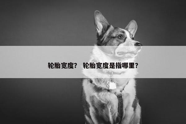 轮胎宽度？ 轮胎宽度是指哪里？