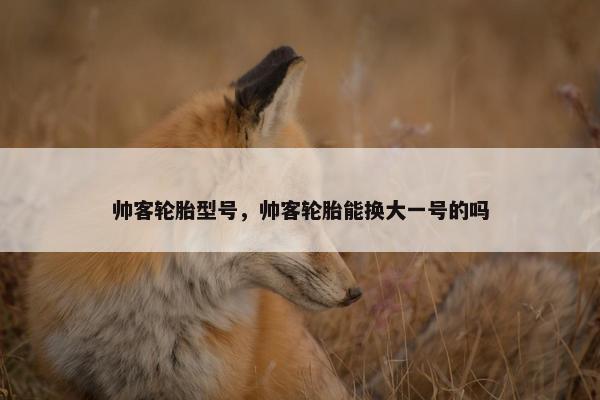 帅客轮胎型号，帅客轮胎能换大一号的吗