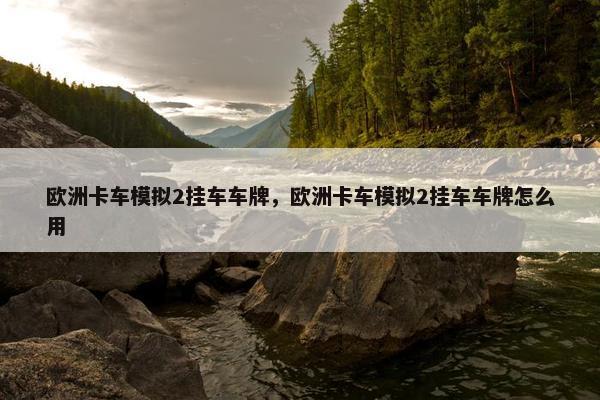 欧洲卡车模拟2挂车车牌，欧洲卡车模拟2挂车车牌怎么用