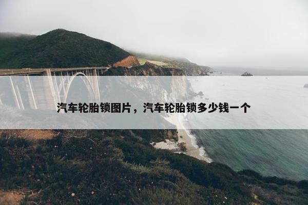 汽车轮胎锁图片，汽车轮胎锁多少钱一个