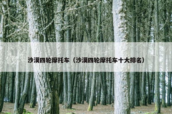 沙漠四轮摩托车（沙漠四轮摩托车十大排名）