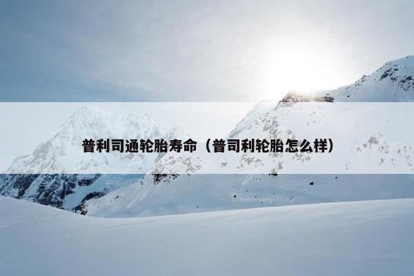 普利司通轮胎寿命（普司利轮胎怎么样）