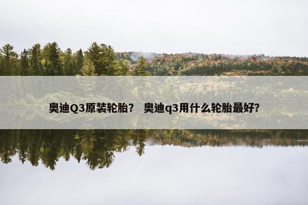 奥迪Q3原装轮胎？ 奥迪q3用什么轮胎最好？