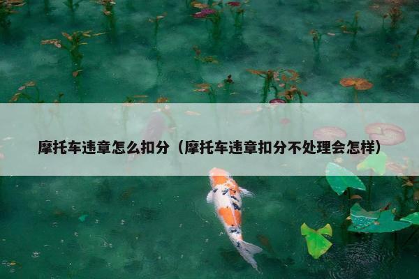 摩托车违章怎么扣分（摩托车违章扣分不处理会怎样）