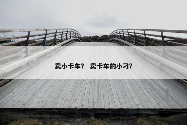卖小卡车？ 卖卡车的小刁？