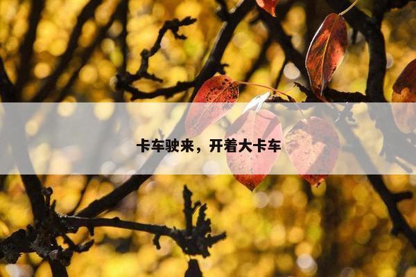 卡车驶来，开着大卡车