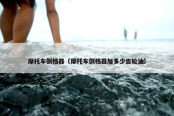 摩托车倒档器（摩托车倒档器加多少齿轮油）
