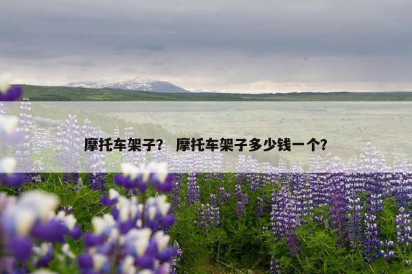摩托车架子？ 摩托车架子多少钱一个？