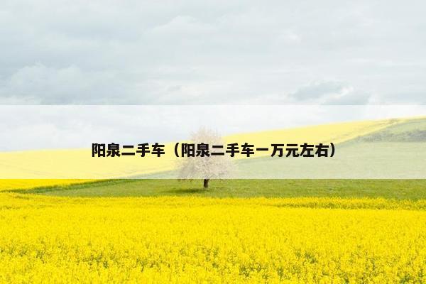 阳泉二手车（阳泉二手车一万元左右）