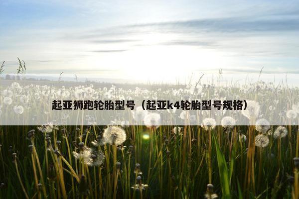 起亚狮跑轮胎型号（起亚k4轮胎型号规格）