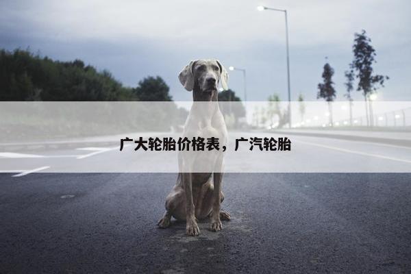 广大轮胎价格表，广汽轮胎