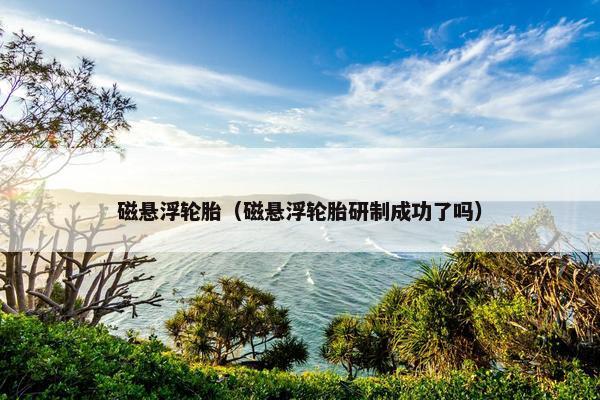磁悬浮轮胎（磁悬浮轮胎研制成功了吗）