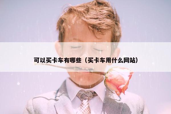 可以买卡车有哪些（买卡车用什么网站）