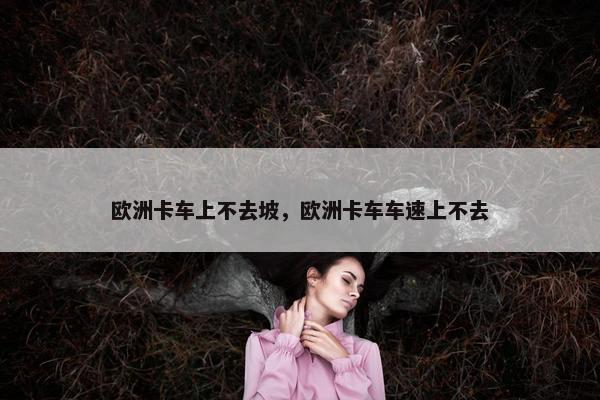 欧洲卡车上不去坡，欧洲卡车车速上不去