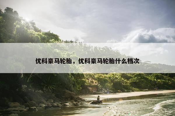 优科豪马轮胎，优科豪马轮胎什么档次
