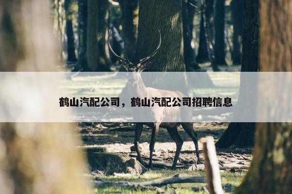 鹤山汽配公司，鹤山汽配公司招聘信息