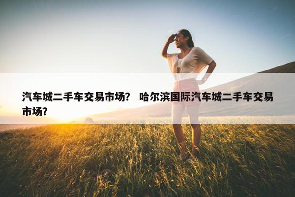汽车城二手车交易市场？ 哈尔滨国际汽车城二手车交易市场？