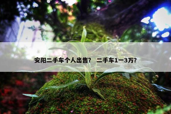 安阳二手车个人出售？ 二手车1一3万？