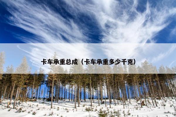 卡车承重总成（卡车承重多少千克）