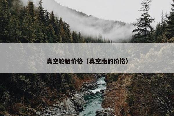 真空轮胎价格（真空胎的价格）