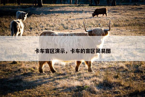 卡车盲区演示，卡车的盲区简易图