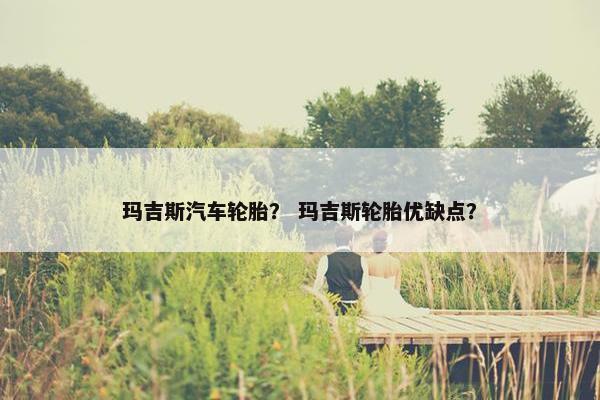 玛吉斯汽车轮胎？ 玛吉斯轮胎优缺点？