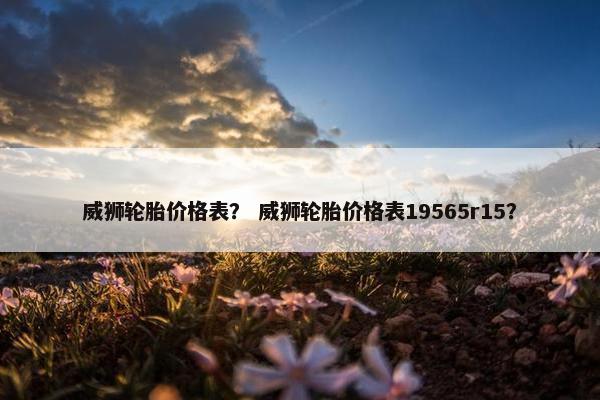 威狮轮胎价格表？ 威狮轮胎价格表19565r15？