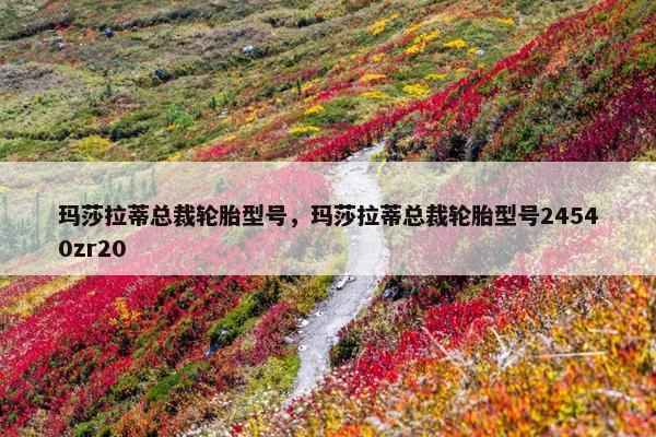 玛莎拉蒂总裁轮胎型号，玛莎拉蒂总裁轮胎型号24540zr20
