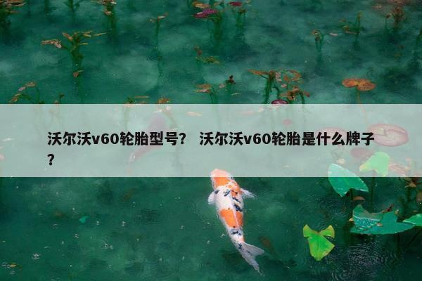 沃尔沃v60轮胎型号？ 沃尔沃v60轮胎是什么牌子？