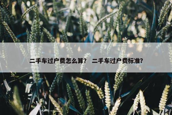 二手车过户费怎么算？ 二手车过户费标准？