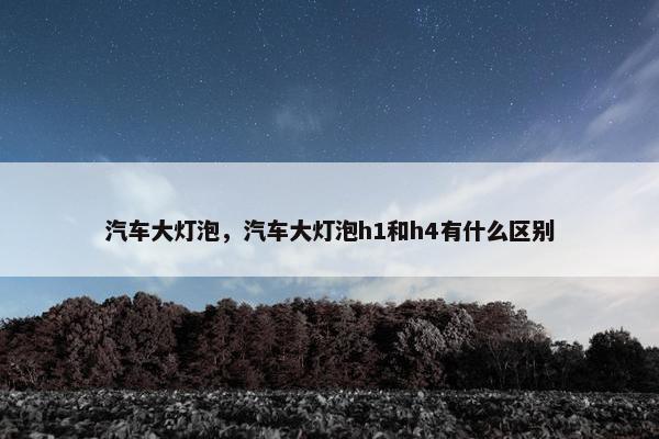 汽车大灯泡，汽车大灯泡h1和h4有什么区别