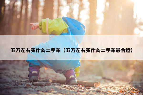 五万左右买什么二手车（五万左右买什么二手车最合适）