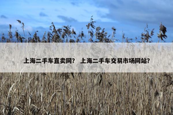 上海二手车直卖网？ 上海二手车交易市场网站？