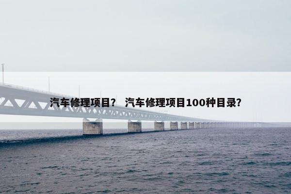 汽车修理项目？ 汽车修理项目100种目录？