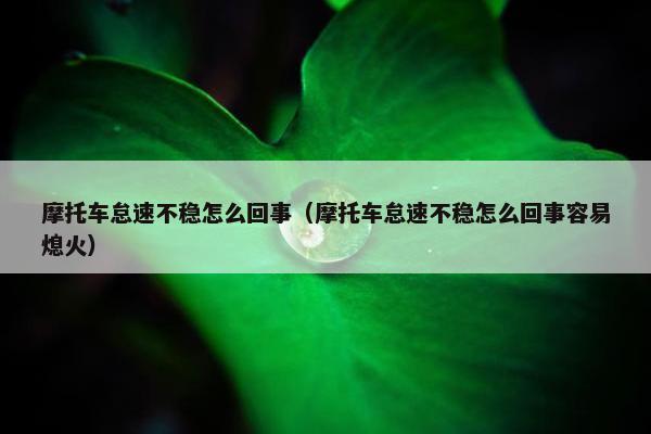 摩托车怠速不稳怎么回事（摩托车怠速不稳怎么回事容易熄火）