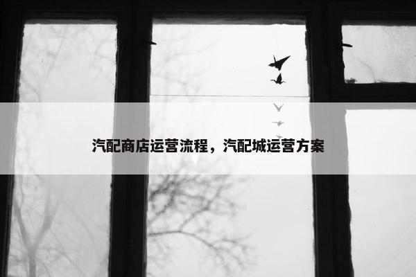 汽配商店运营流程，汽配城运营方案