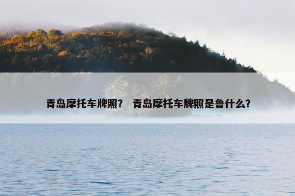 青岛摩托车牌照？ 青岛摩托车牌照是鲁什么？
