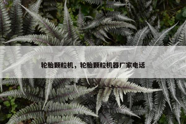 轮胎颗粒机，轮胎颗粒机器厂家电话
