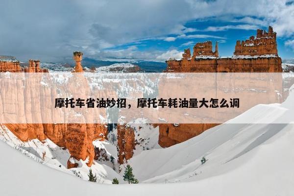 摩托车省油妙招，摩托车耗油量大怎么调