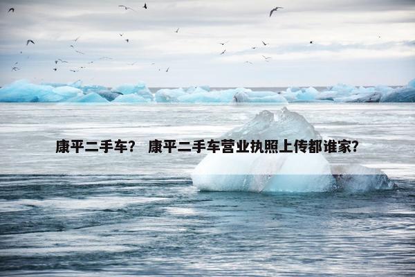康平二手车？ 康平二手车营业执照上传都谁家？