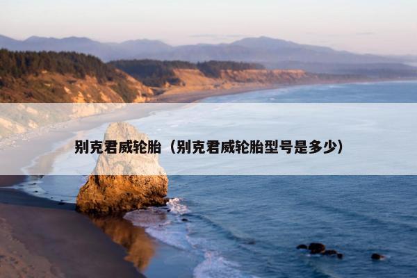 别克君威轮胎（别克君威轮胎型号是多少）
